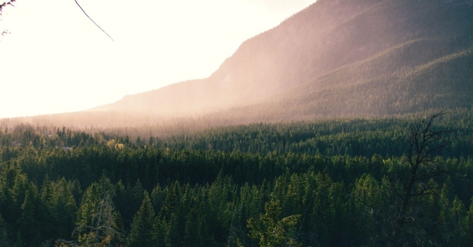 Physical Rehabilitation